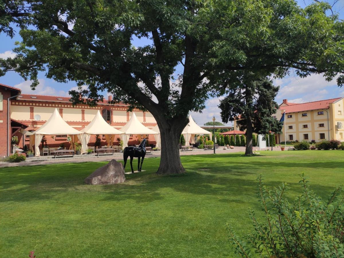 Hotel Sandro Silver Leszno  Exterior photo